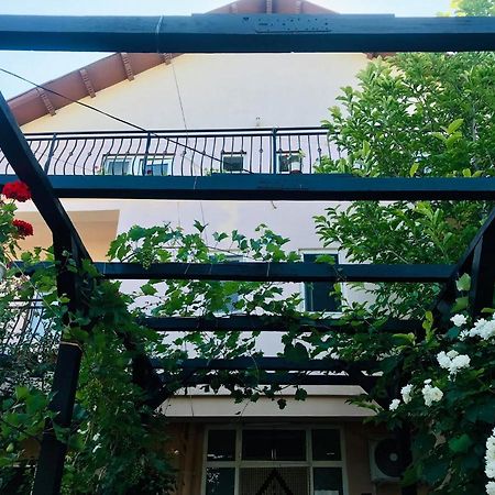 Vila A&S Hotell Costinesti Eksteriør bilde